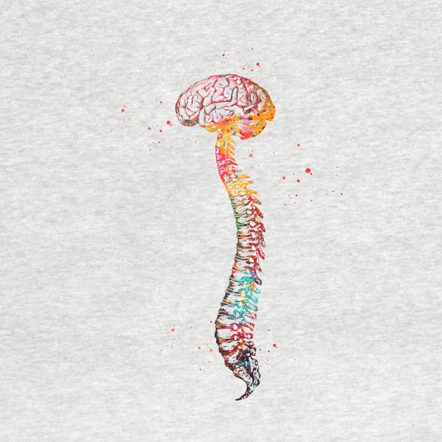 Human Spine with Brain by erzebeth